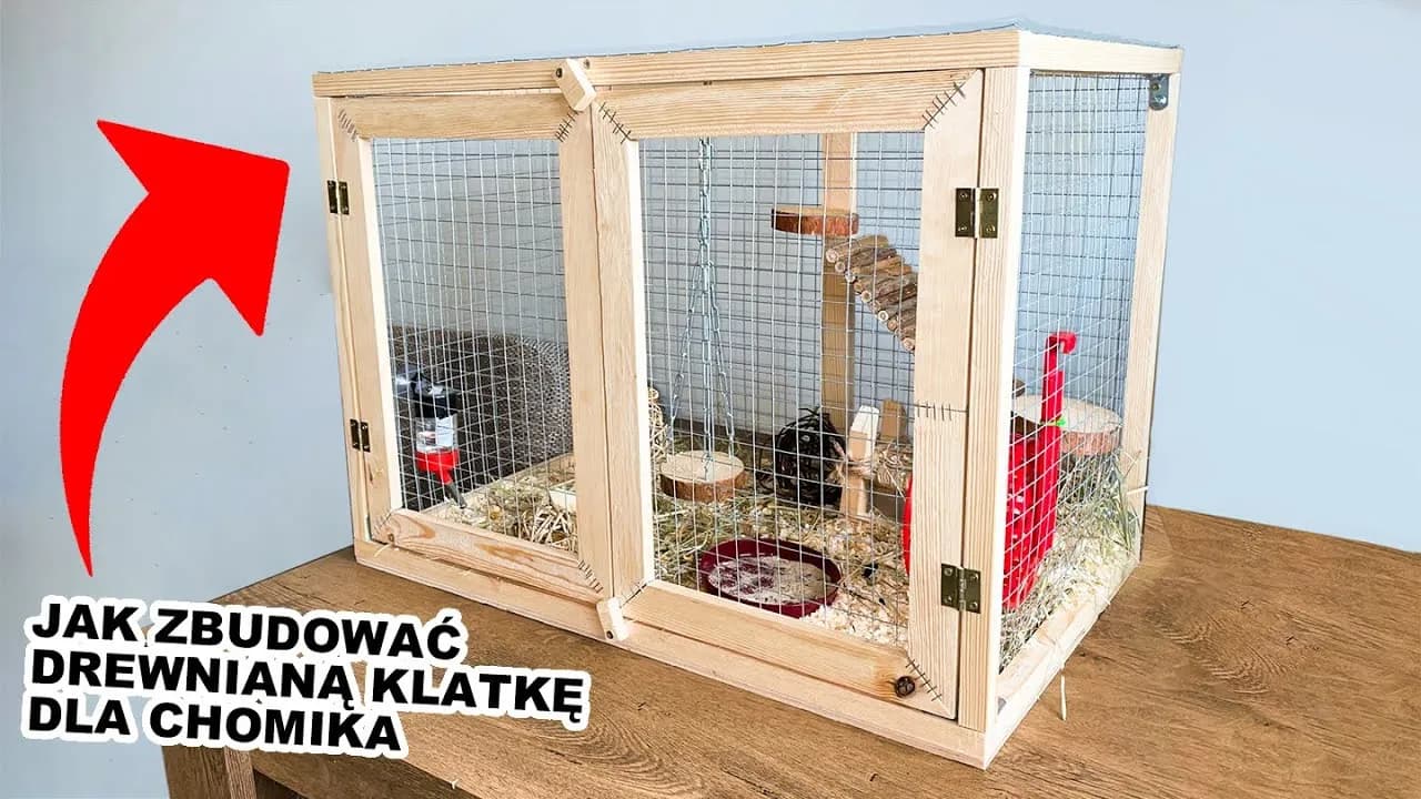 Plac zabaw dla chomika DIY: Bezpieczne pomysły i instrukcje krok po kroku