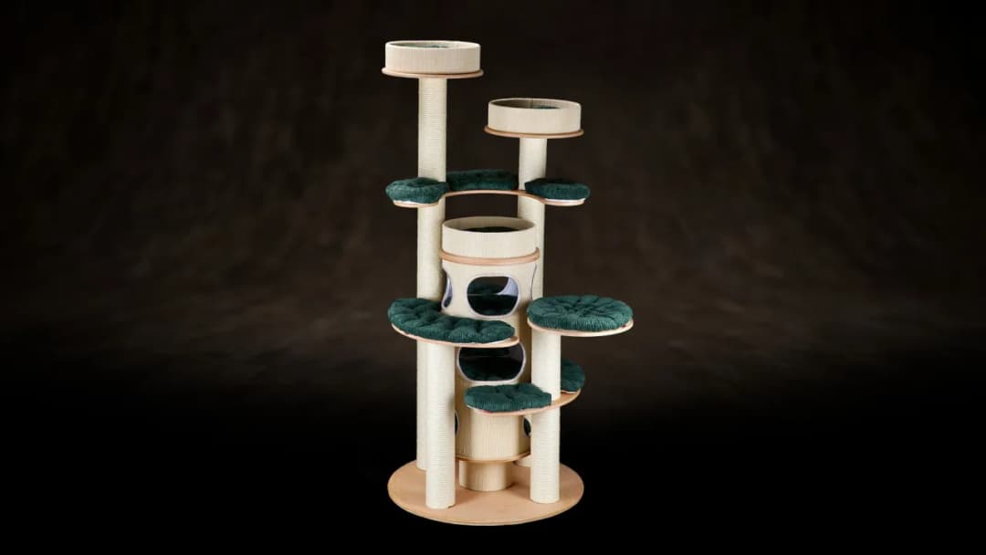 Jak zrobić plac zabaw dla kota, który zapewni mu radość i bezpieczeństwo