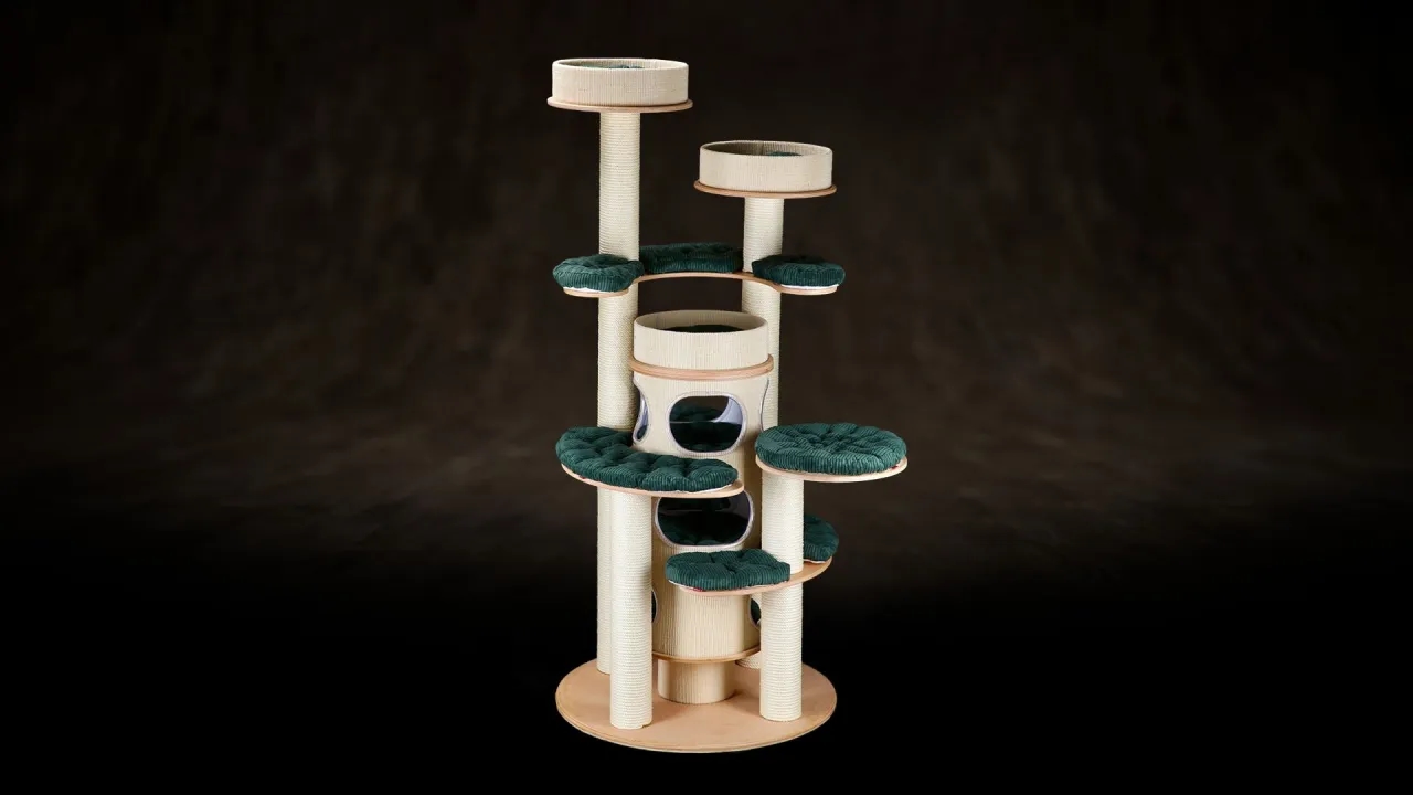 Jak zrobić plac zabaw dla kota, który zapewni mu radość i bezpieczeństwo