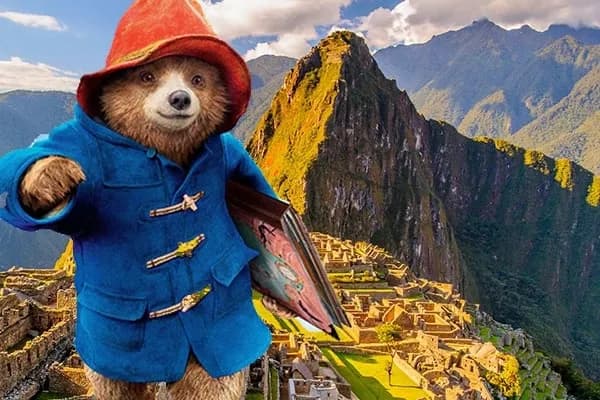 Paddington w Peru: Sekret francuskiej miłości do uroczego misia