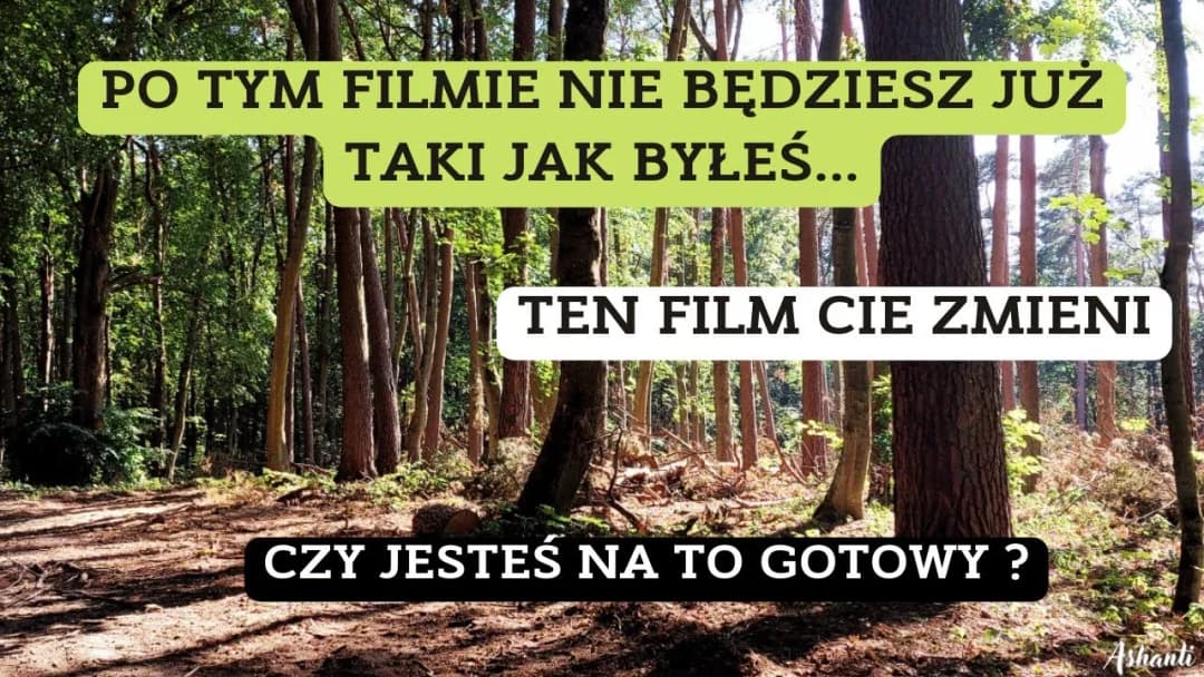 Kiedy film zmienia gatunek: fascynująca transformacja kina